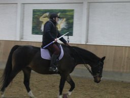IMG_2988_web